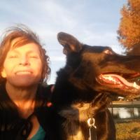 Ginger Luttrell (@gingersunsource) 's Twitter Profile