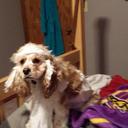 Olivia Reiter - @livtwontytwo - Twitter