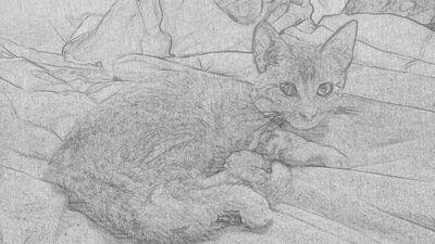 Rosananic's profile picture. 