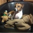 Jonathan Richards - @jonathangricha1 - Twitter