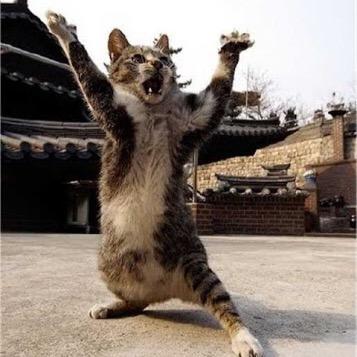 CGIS2014's profile picture. 二次元が救い#外に出たくない#陽に当たったら溶ける