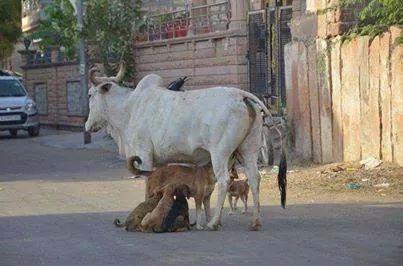 angeljes9975's profile picture. 