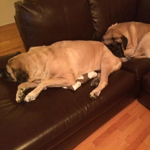 sbook82's profile picture. Educator