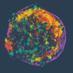 Soton Supernovae (@uos_sne) Twitter profile photo
