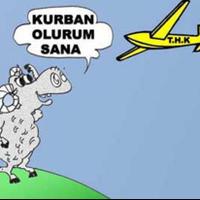 Aybirgen Yılmaz (@aybrgn_ylmz) Twitter profile photo