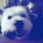 1f28311e81de4bf's profile image
