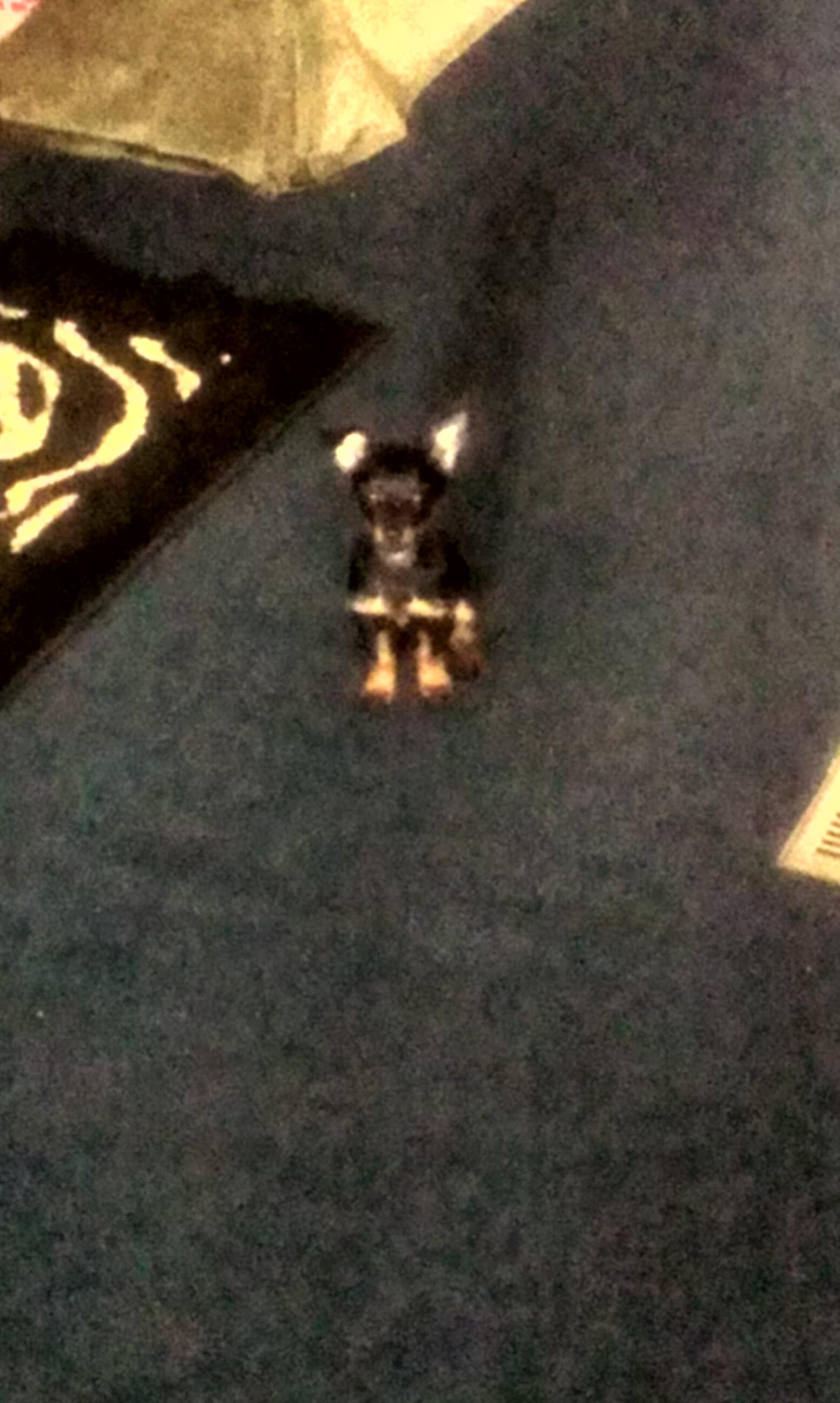 sergiom1020's profile picture. 