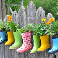 Home and Garden (@gardeningphotos) 's Twitter Profile Photo