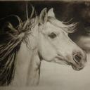 KCH PURO (@58e2d3a643e04a5) Twitter