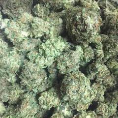 FREE DAB OR FLOWER SAMPLE! 40+ STRAINS, WAX, EDIBLES, TINCTURES AND GREAT DOGOs!