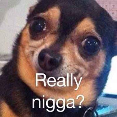 Bubbles5584's profile picture. 