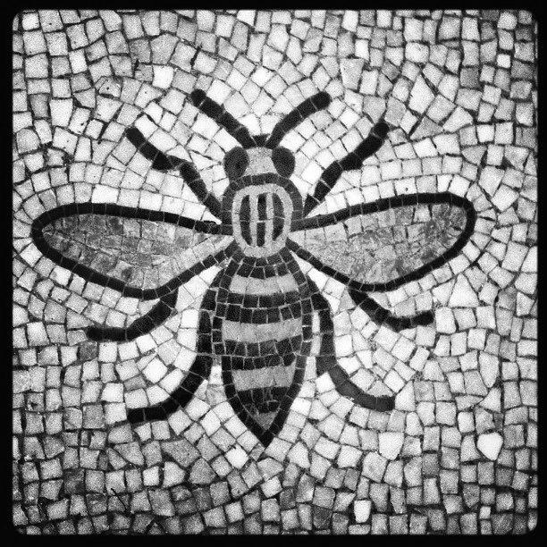 On a mission to create the ultimate Manchester micro-blog