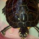 aaron dewhurst - @DewhurstAaron - Twitter