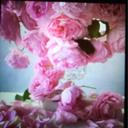 Maitha Saeed (@11Maithasaeed) Twitter