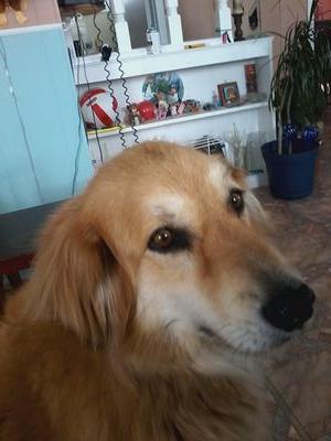 MMarcel400's profile picture. 