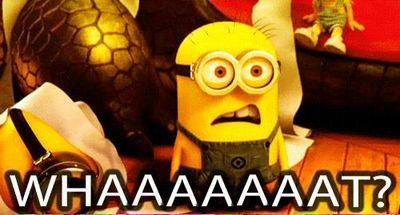 246aa03b3dbe46f's profile picture. 