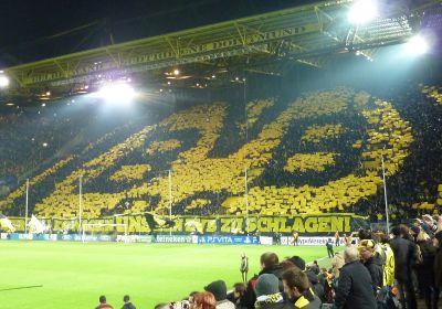 MSauer76's profile picture. 