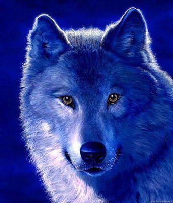 BernardettaBia1's profile picture. 