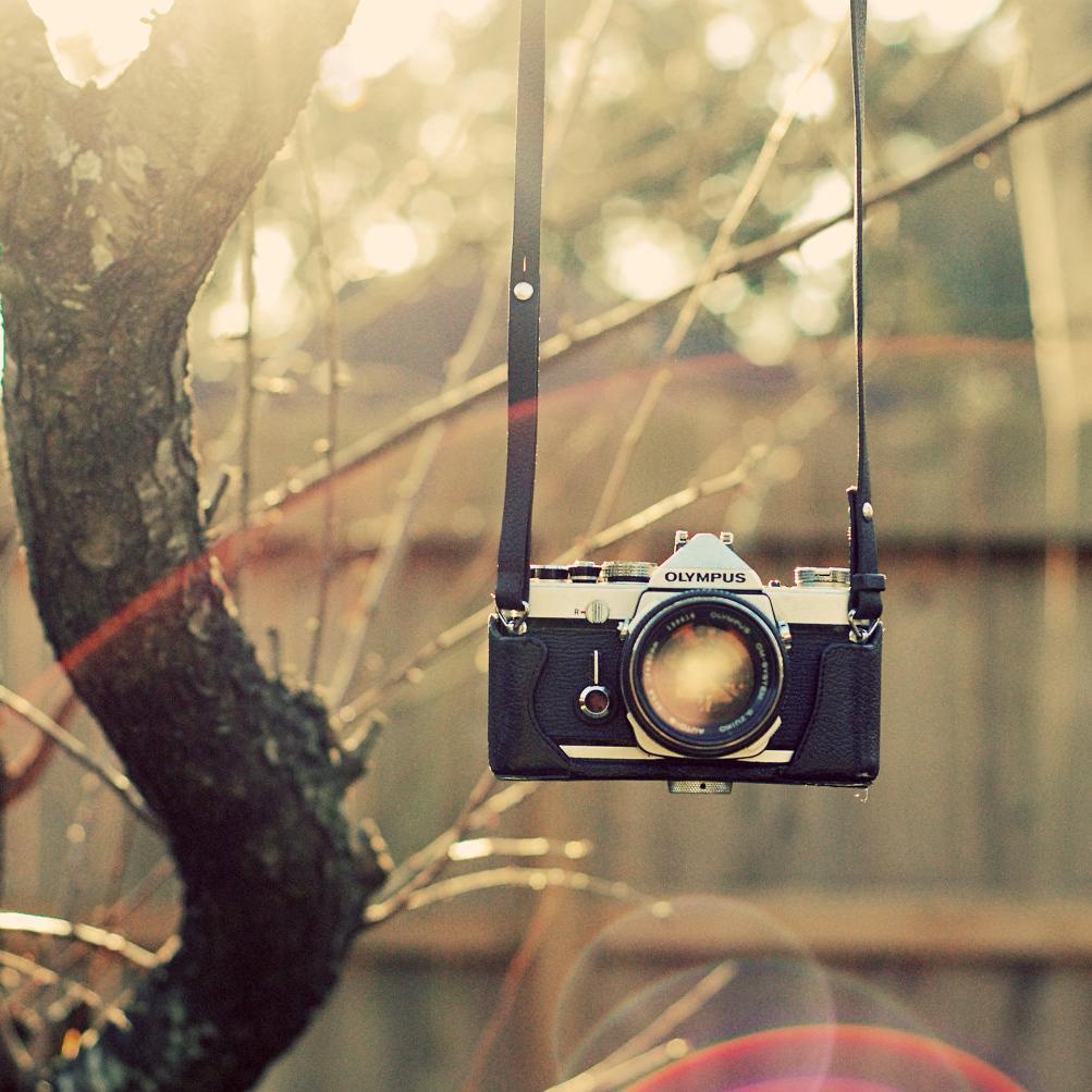 willowyrp's profile picture. Currently revamp the agency's image. If you wanna stay, pls mention me I want to join back 'from 150321 till 150430'