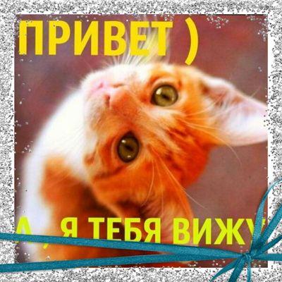 Открытка я тебя вижу
