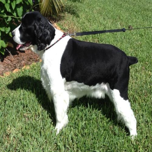 MorrisChoice1's profile picture. As a child I did not need to be reminded to exercise or stay active. I just did it. Today though things have changed & I have to remind myself to get out there