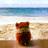 hamstertravels's profile image