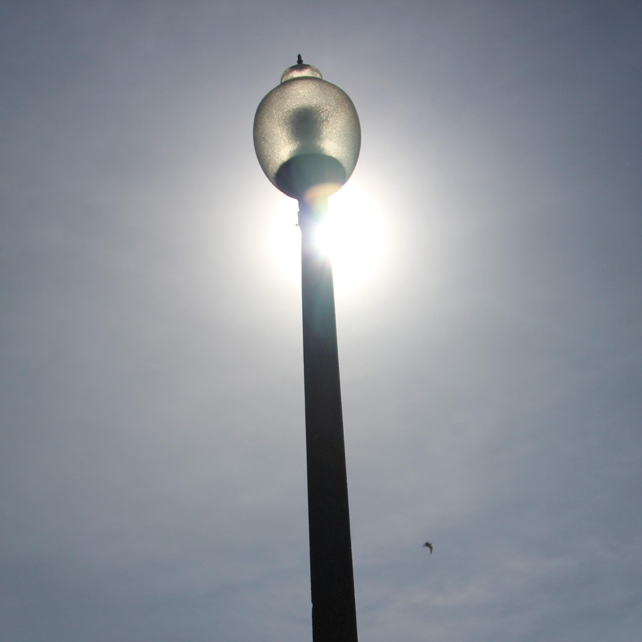 KevZheng's profile picture. 