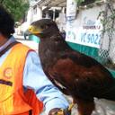 Fidel Mejia - @f7a666ab4a6e480 - Twitter