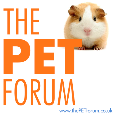 A new forum for all pet lovers. Dogs, cats, rabbits, rodents, fish, birds, horses & more! Follow us for the latest news & updates.