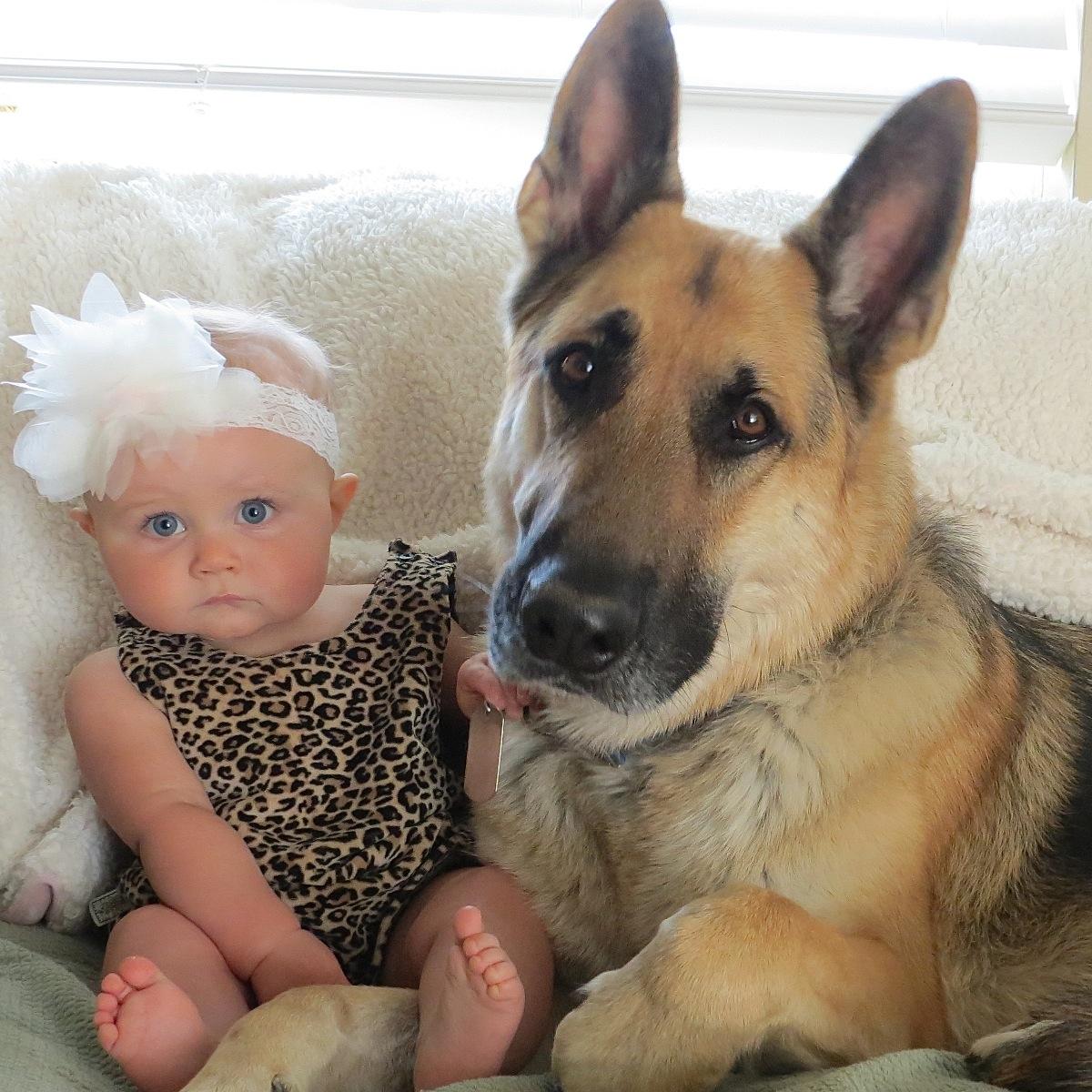 Girls growing up with their best friend and german shepherd, Moose.