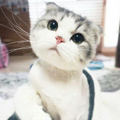 ฟอลฟรีฟอลเรื่อยๆ