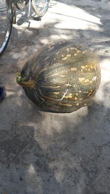 ‏‏‏‏‏ما اكتبه هنا لا يمثل رأي الآخرين ، أحترامي  لوجهات نظر الآخرين ، لا تعني قناعتي بافكارهم.