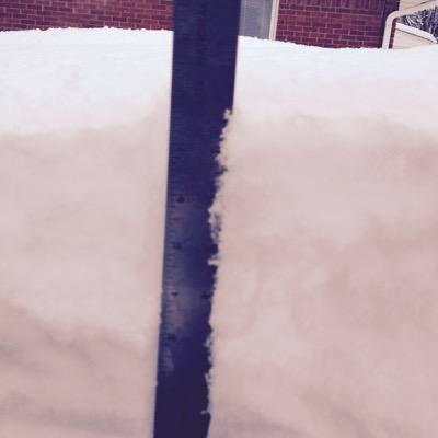 quest1511's profile picture. keep learning have fun along the way.