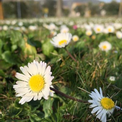 notsadness's profile picture. I'm taking back control of my twitter account!