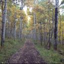 Marty Casey - @mcasey76 - Twitter