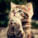 #Analy_hernandez - @analy_lara_6115 - Twitter