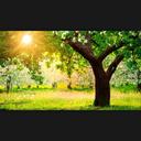 Sarah Conlon - @s13cln - Twitter