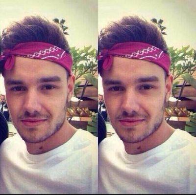 NIALL HORAN AND LIAM PAYNE MAKE MY OVARIES CRAZY