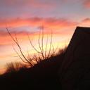 ROY Béatrice - @ROY39BEATRICE - Twitter