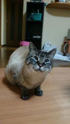 loove2269's profile picture. 