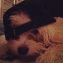 Louis - @_louis_roe_24_ - Twitter