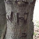 Wayne Hodge - @Plumbtired - Twitter