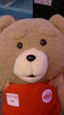 shota75102893's profile picture. 東舞子?th→歌敷山66th→県商137th→社会人。⚾︎野球歴11年⚾︎兵庫県⇨愛知県 乃木オタとおひさま（日向坂）始めました