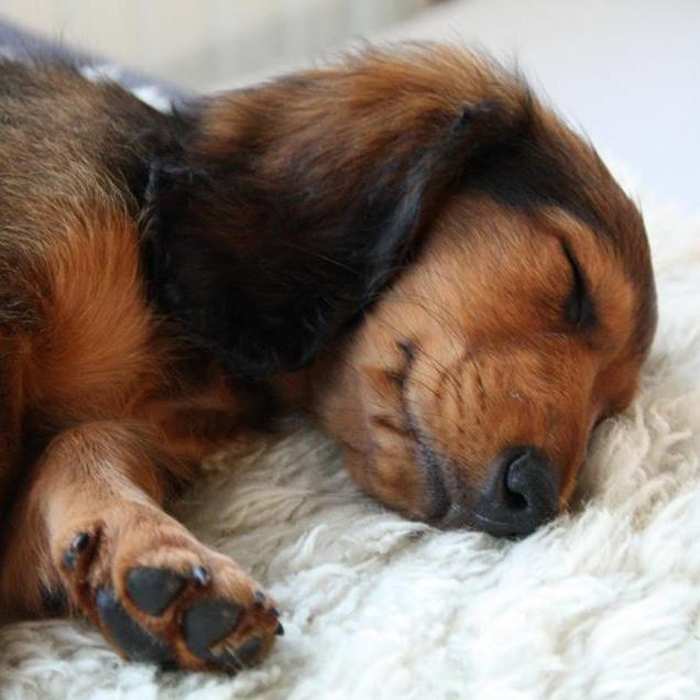 AnthoYarasky's profile picture. 