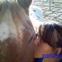 Tessa Perry - @lovershim15 - Twitter