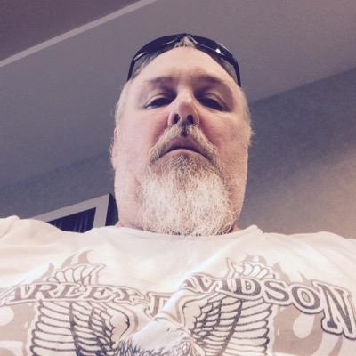 meghansmith0's profile picture. 