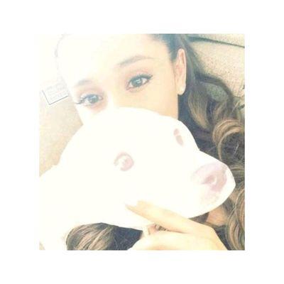 I'm #BvbArmy and #Arianators