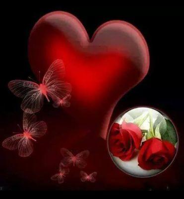 yassergg12364's profile picture. 