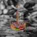 Colin Poultney (@collargeimages) Twitter profile photo