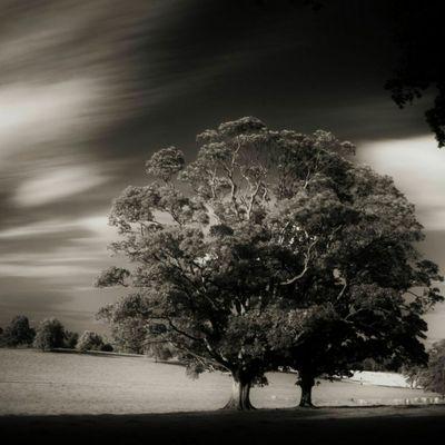 amy_kayt's profile picture. I'm n my early 30s, from the Shenandoah Valley, work at a behavioral centre, single Commpassionate, selfless, bubbly, spontaneous, drama free always!!